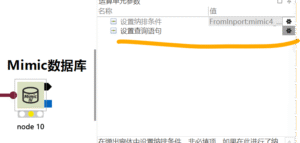 Mimic数据库：connection to server at 