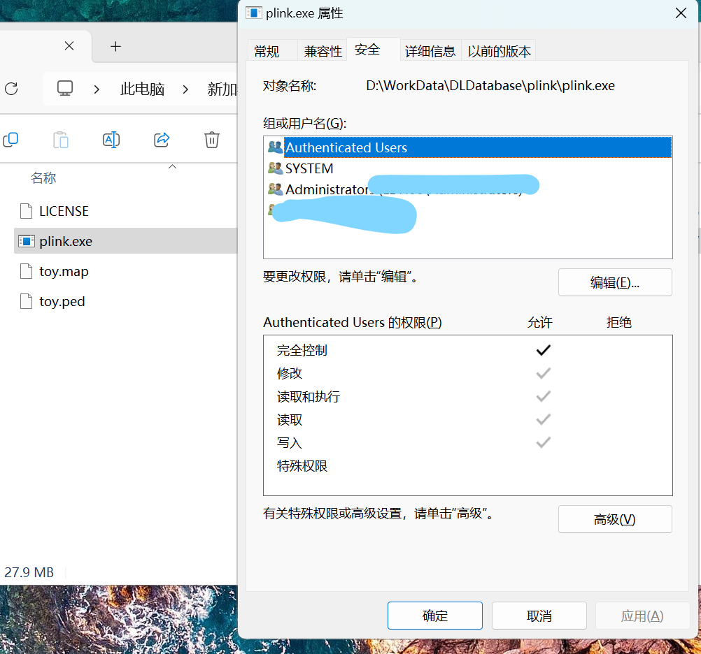 20250515094835358-image